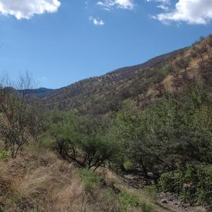 Sierra Azul, Sonora