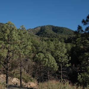 Sierra Elenita, Sonora