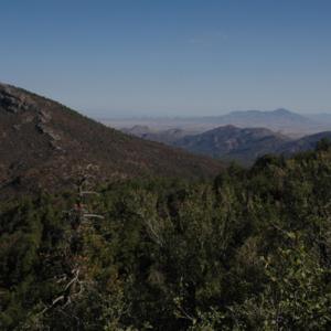Sierra los Ajos, Sonora