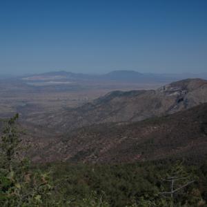 Sierra los Ajos, Sonora
