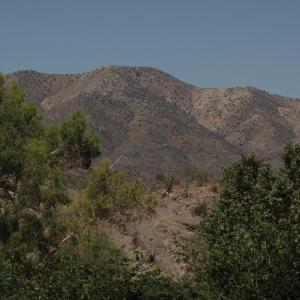 Sierra las Avispas, Sonora