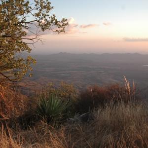 Sierra la Madera (Magdalena), Sonora