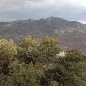 Sierra Mariquita, Sonora