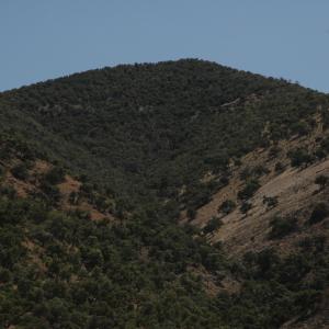 Sierra Cibuta, Sonora