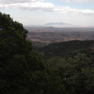 Sierra Chivato, Sonora