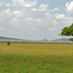 Tanzania Africa, January 2011