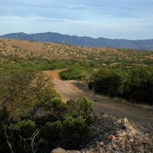 Sierra Chivato, Sonora