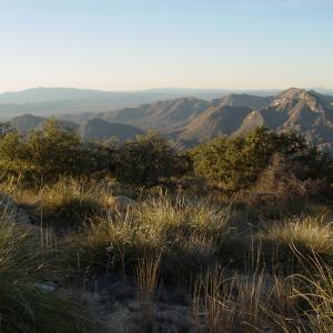 Sierra San Juan, Sonora